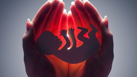 Mandarin News — The Leading Chinese Global Media Platform