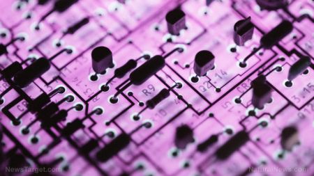 Mandarin News — The Leading Chinese Global Media Platform